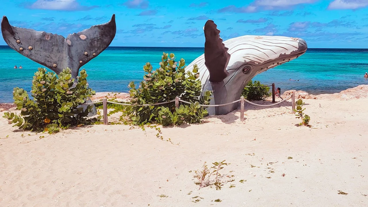 Grand Turk Cruise Port