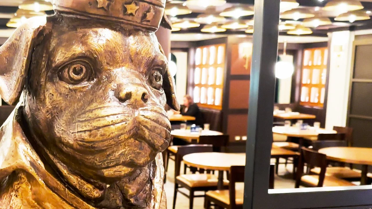 Salty Dog GastroPub on Princess